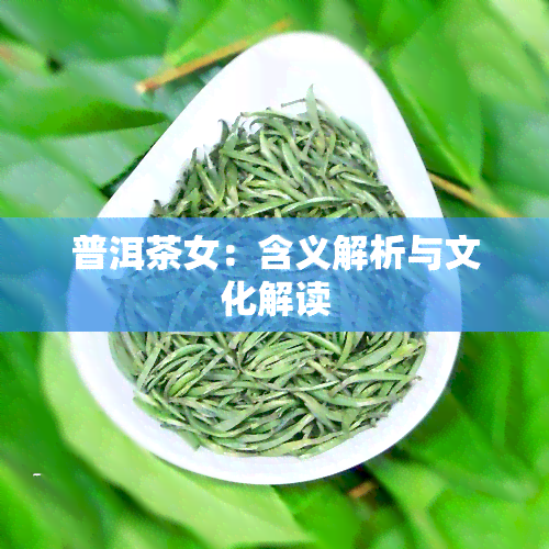 普洱茶女：含义解析与文化解读