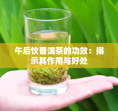 午后饮普洱茶的功效：揭示其作用与好处