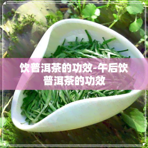 饮普洱茶的功效-午后饮普洱茶的功效