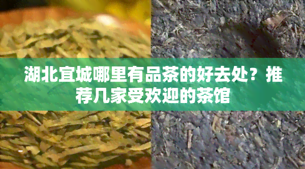 湖北宜城哪里有品茶的好去处？推荐几家受欢迎的茶馆