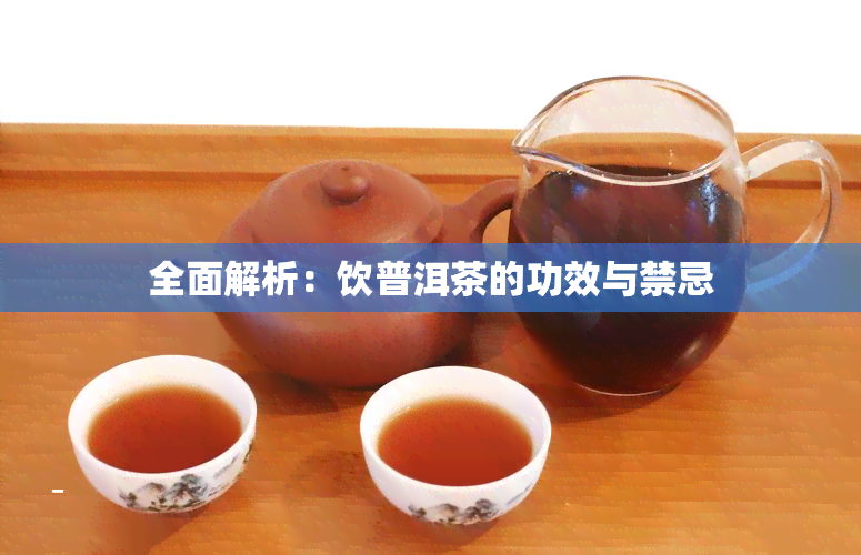 全面解析：饮普洱茶的功效与禁忌