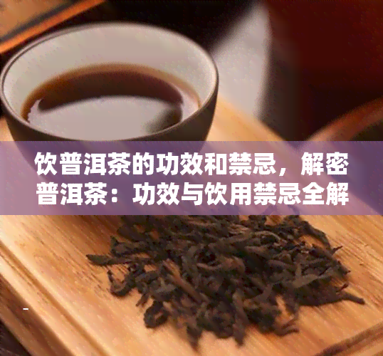 饮普洱茶的功效和禁忌，解密普洱茶：功效与饮用禁忌全解析