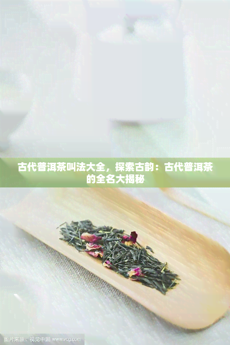 古代普洱茶叫法大全，探索古韵：古代普洱茶的全名大揭秘