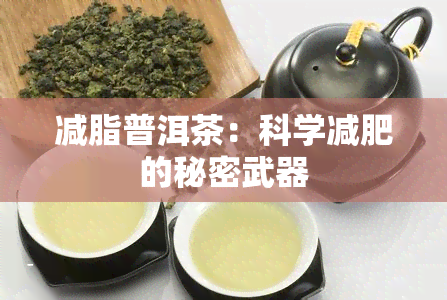 减脂普洱茶：科学减肥的秘密武器