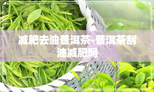 减肥去油普洱茶-普洱茶刮油减肥吗