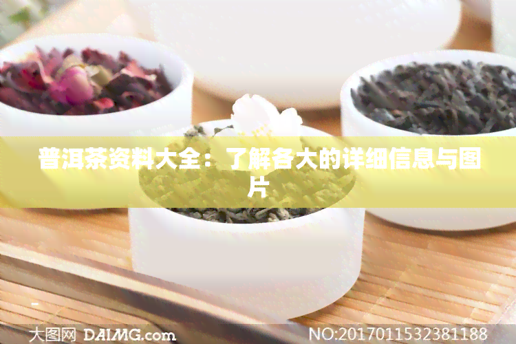 普洱茶资料大全：了解各大的详细信息与图片