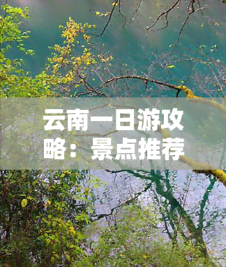 云南一日游攻略：景点推荐及路线规划