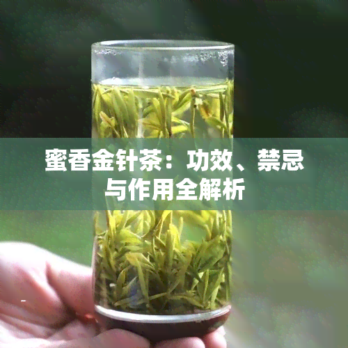 蜜香金针茶：功效、禁忌与作用全解析