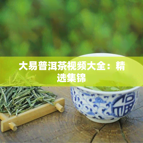 大易普洱茶视频大全：精选集锦