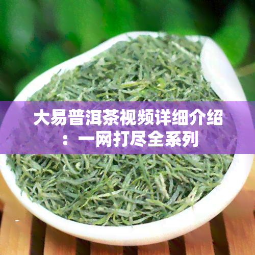 大易普洱茶视频详细介绍：一网打尽全系列