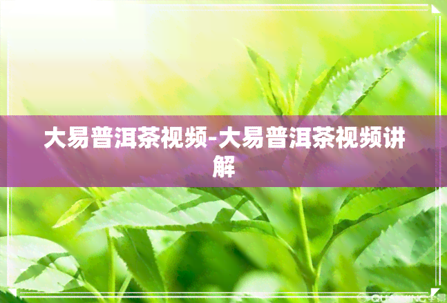 大易普洱茶视频-大易普洱茶视频讲解