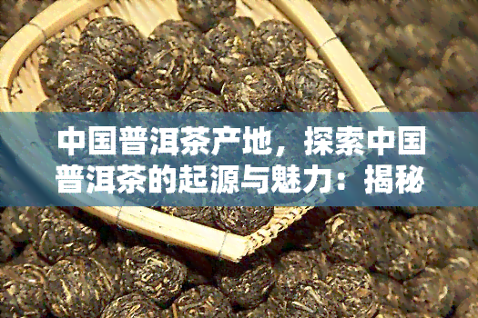 中国普洱茶产地，探索中国普洱茶的起源与魅力：揭秘各大产地的独特风味