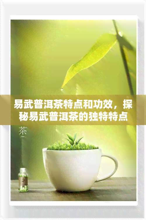 易武普洱茶特点和功效，探秘易武普洱茶的独特特点与神奇功效