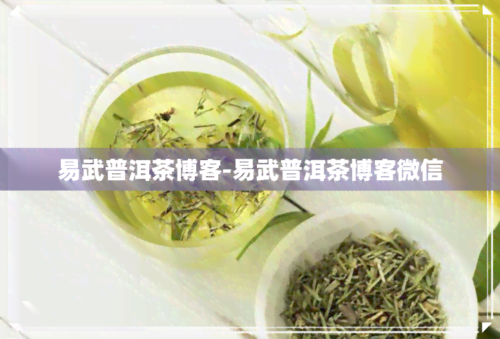 易武普洱茶博客-易武普洱茶博客微信