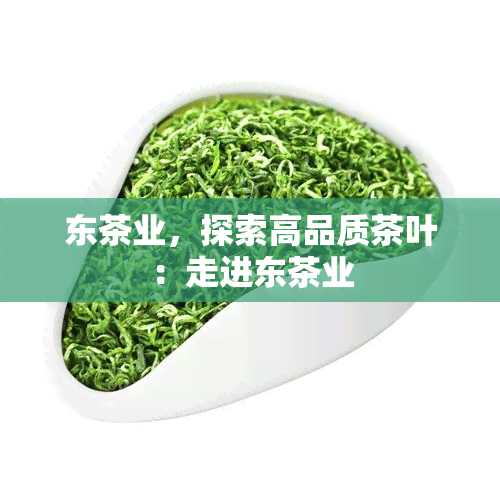 东茶业，探索高品质茶叶：走进东茶业