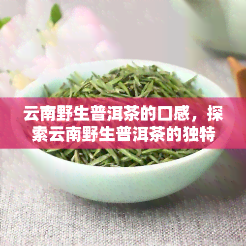 云南野生普洱茶的口感，探索云南野生普洱茶的独特口感：一次味蕾的旅行