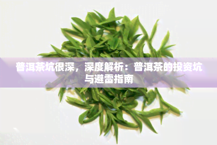 普洱茶坑很深，深度解析：普洱茶的投资坑与避雷指南