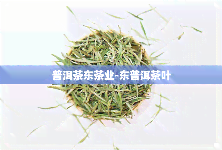 普洱茶东茶业-东普洱茶叶