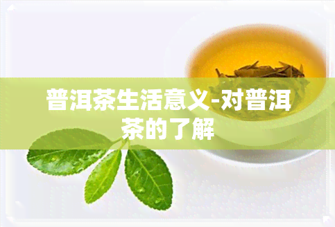 普洱茶生活意义-对普洱茶的了解