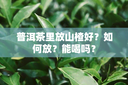 普洱茶里放山楂好？如何放？能喝吗？