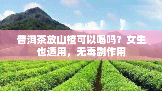 普洱茶放山楂可以喝吗？女生也适用，无副作用