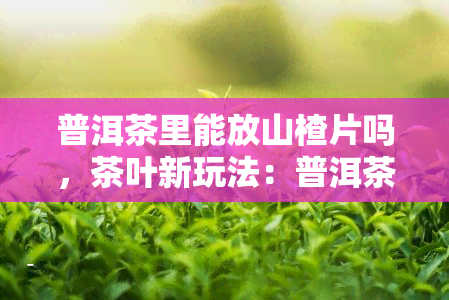 普洱茶里能放山楂片吗，茶叶新玩法：普洱茶中可以加入山楂片吗？