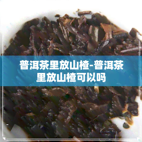 普洱茶里放山楂-普洱茶里放山楂可以吗