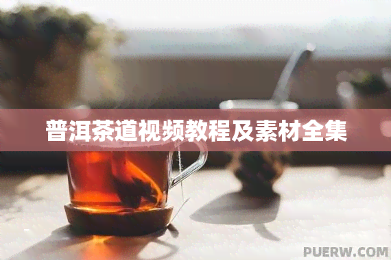 普洱茶道视频教程及素材全集