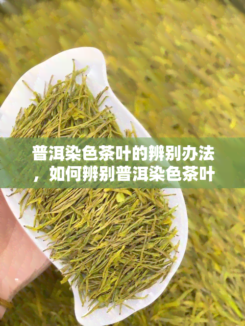 普洱染色茶叶的辨别办法，如何辨别普洱染色茶叶？全面的识别方法大揭秘