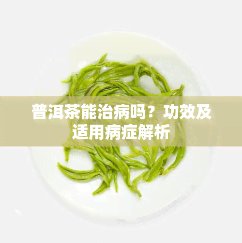 普洱茶能治病吗？功效及适用病症解析