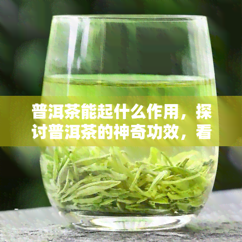 普洱茶能起什么作用，探讨普洱茶的神奇功效，看看它究竟有何作用！