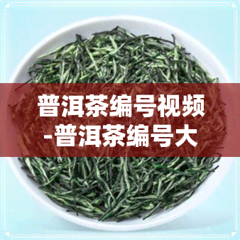 普洱茶编号视频-普洱茶编号大全