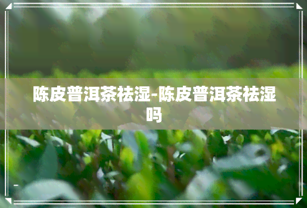 陈皮普洱茶祛湿-陈皮普洱茶祛湿吗