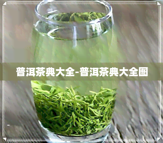 普洱茶典大全-普洱茶典大全图