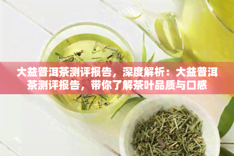 大益普洱茶测评报告，深度解析：大益普洱茶测评报告，带你了解茶叶品质与口感