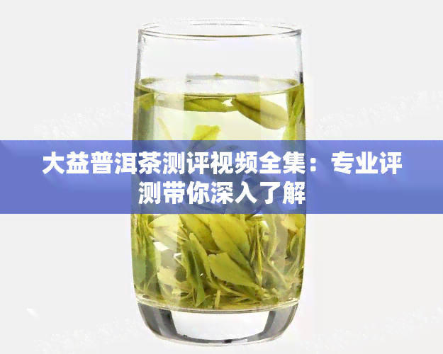 大益普洱茶测评视频全集：专业评测带你深入了解