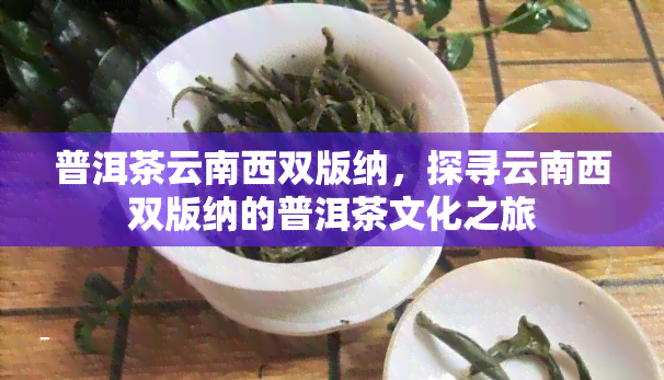 普洱茶云南西双版纳，探寻云南西双版纳的普洱茶文化之旅