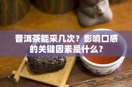 普洱茶能采几次？影响口感的关键因素是什么？