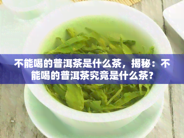 不能喝的普洱茶是什么茶，揭秘：不能喝的普洱茶究竟是什么茶？