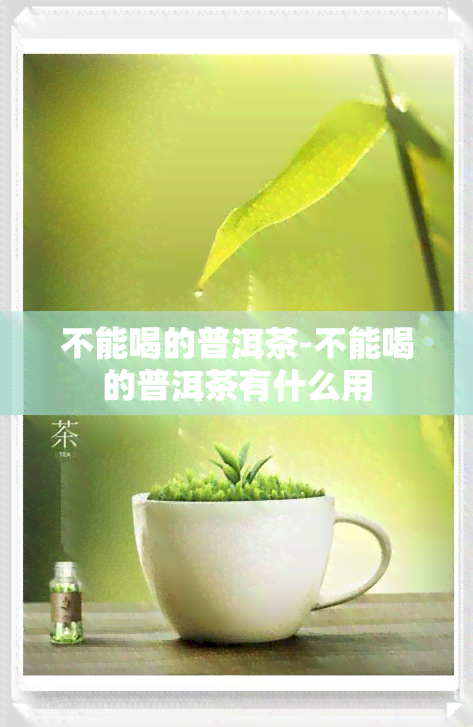 不能喝的普洱茶-不能喝的普洱茶有什么用