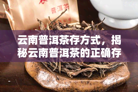 云南普洱茶存方式，揭秘云南普洱茶的正确存方式