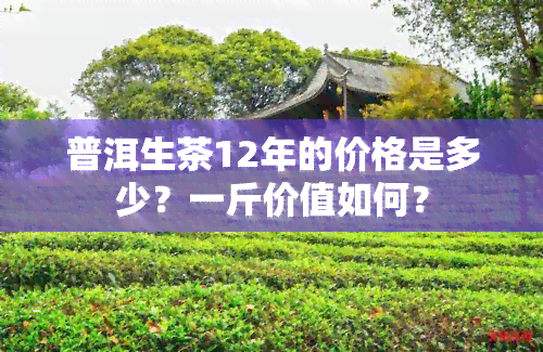 普洱生茶12年的价格是多少？一斤价值如何？