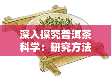 深入探究普洱茶科学：研究方法与论文分析