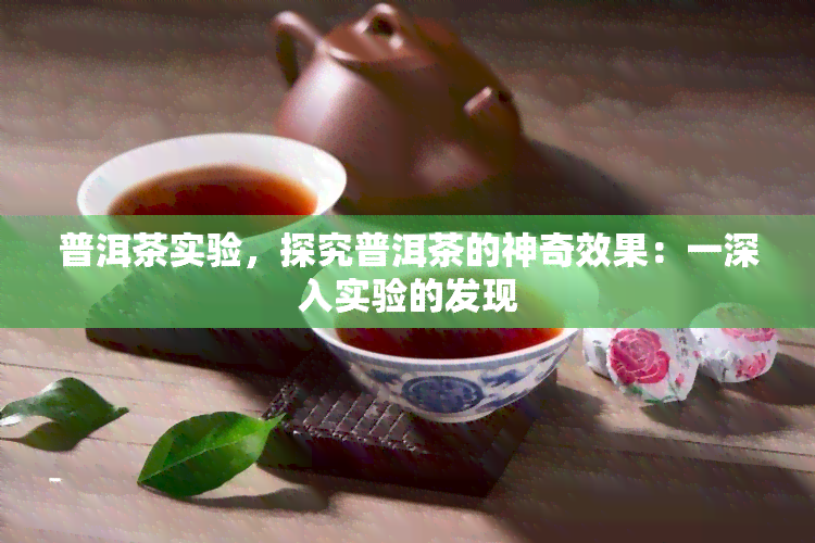 普洱茶实验，探究普洱茶的神奇效果：一深入实验的发现