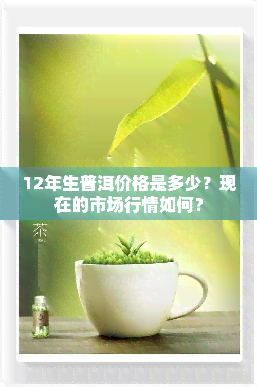 12年生普洱价格是多少？现在的市场行情如何？