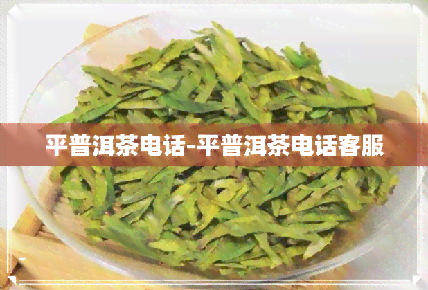 平普洱茶电话-平普洱茶电话客服