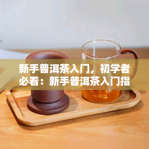 新手普洱茶入门，初学者必看：新手普洱茶入门指南