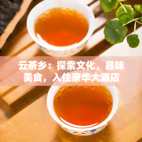 云茶乡：探索文化，品味美食，入住豪华大酒店