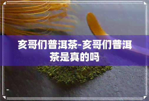 亥哥们普洱茶-亥哥们普洱茶是真的吗