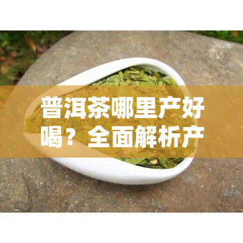 普洱茶哪里产好喝？全面解析产地与口感的关系